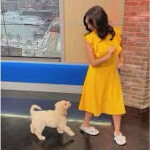 Hello. Just a girl and her dog